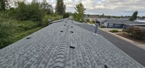 A newly installed grey shingle roof with vents and a chimney against a suburban background with trees and houses.